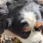 Rar o vezi asa pe Andreea Marin 2