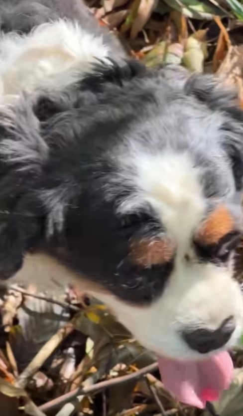 Rar o vezi asa pe Andreea Marin 2