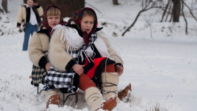 Care este pluralul cuvântului sanie. Aceasta este de fapt forma corectă