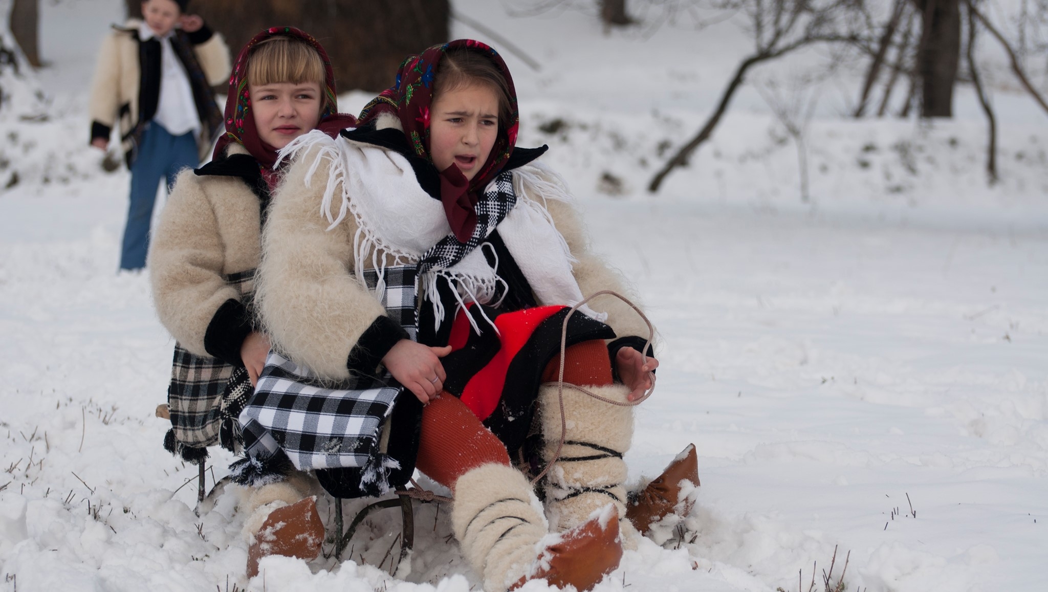 Care este pluralul cuvântului sanie