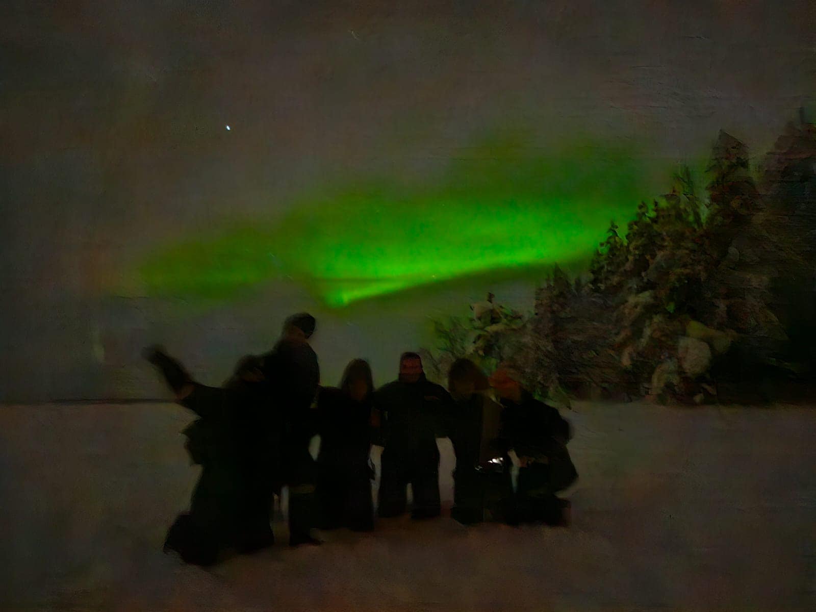 Vedetele au surprins aurora boreala