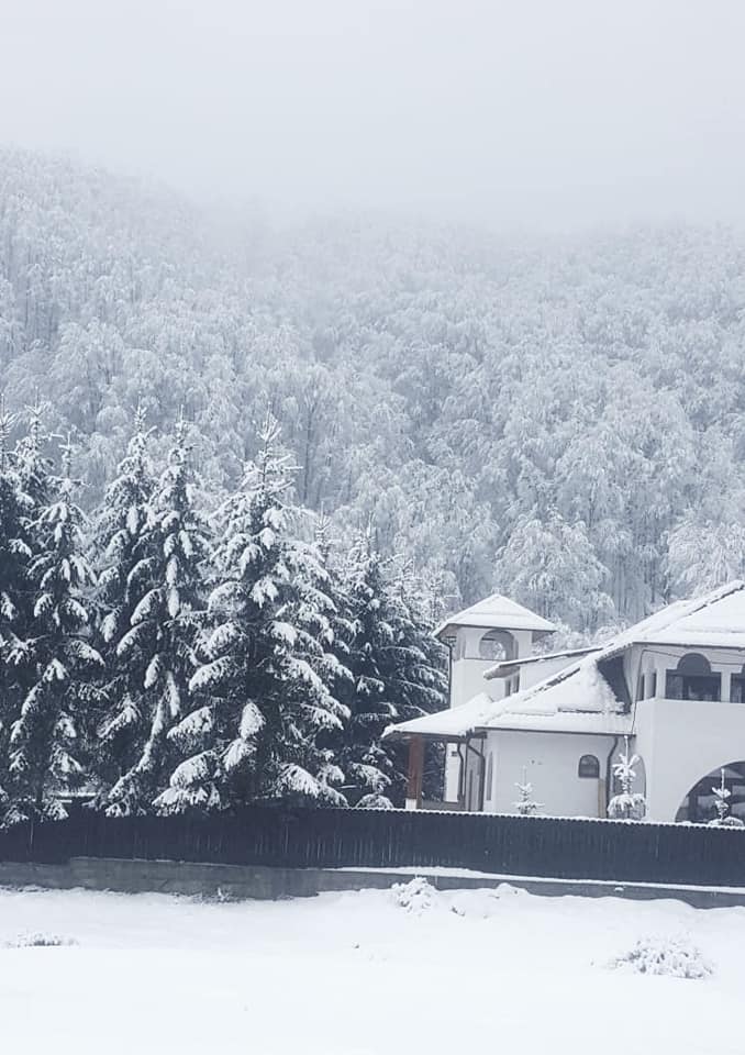 Cat costa cazarea la pensiunea Monicai Anghel 1