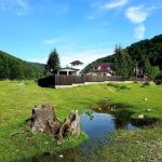 Cat costa cazarea la pensiunea Monicai Anghel 3