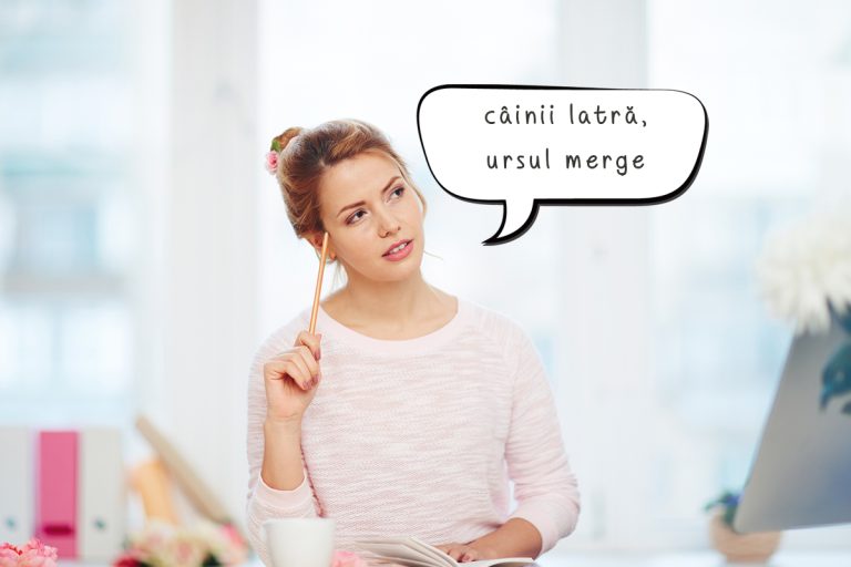 Ce înseamnă “câinii latră, ursul merge”. E una dintre cele mai populare expresii românești, dar puțini îi știu semnificația