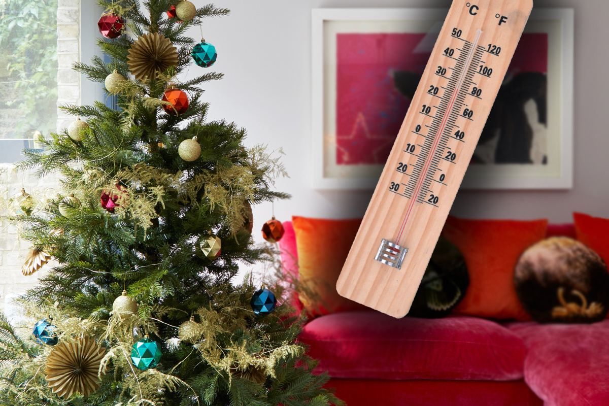 Ce temperatura trebuie sa fie in casa pentru ca bradul de Craciun sa nu se usuce. Asa rezista cat mai mult timp