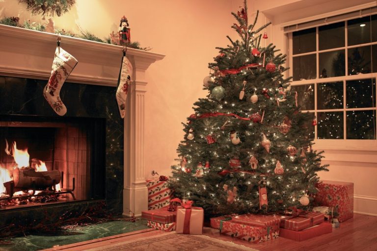 Cum alegi bradul de Crăciun fără să te păcălești. La ce trebuie să fii atent