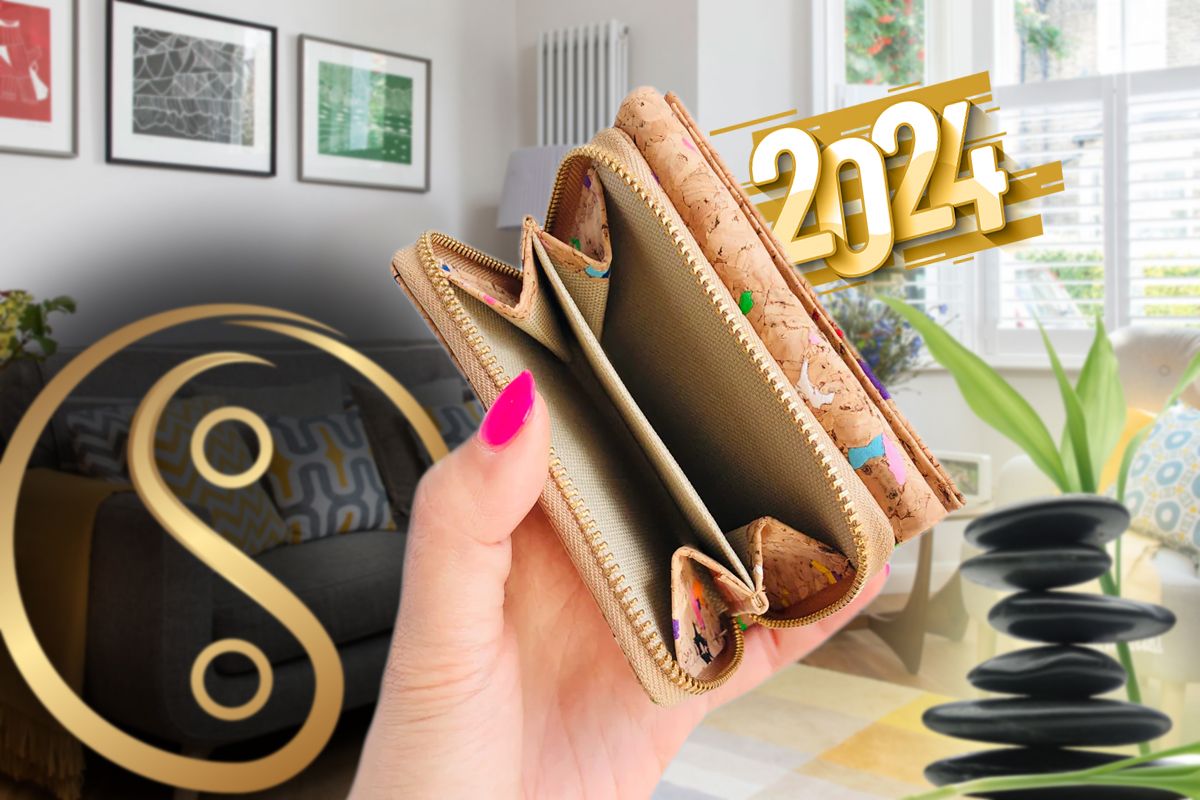 Cum trebuie sa fie portofelul tau si ce trebuie sa tii in el pentru a atrage banii in 2024. Cele x trucuri Feng Shui care aduc noroc si bogatie