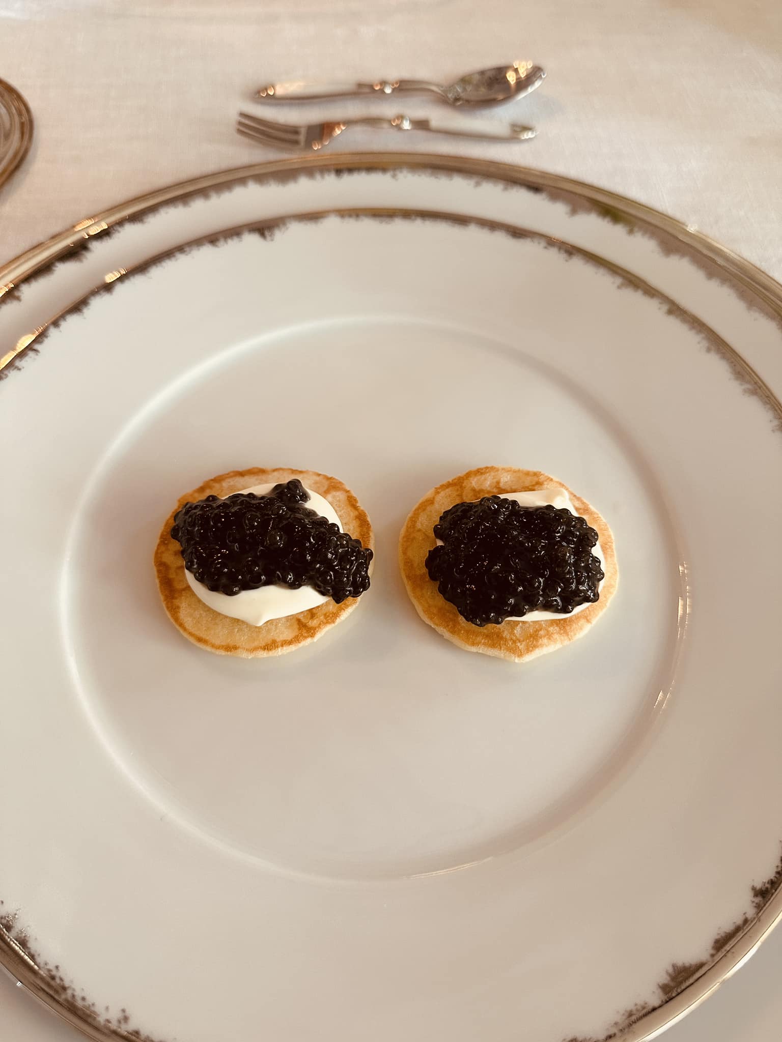 Imagini rare din casa Danei Budeanu. Cum și-a amenajat vedeta locuința de Sărbători, a fost pe lux și eleganță FOTO