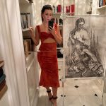 Imagini rare din casa Danei Budeanu. Cum și-a amenajat vedeta locuința de Sărbători, a fost pe lux și eleganță FOTO