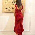 Ipostaza inedita in care Dana Budeanu s-a lasat fotografiata 2