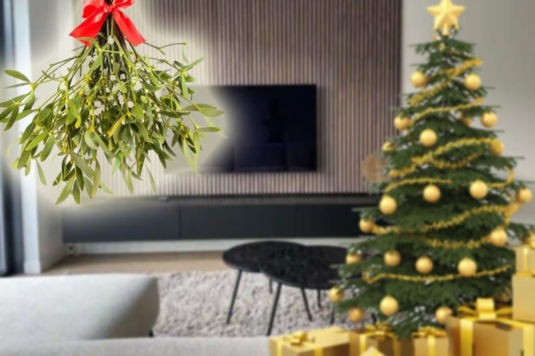 Locul din casă unde trebuie să pui vâscul de Crăciun. Trucul pentru a avea parte de multă dragoste în viața ta