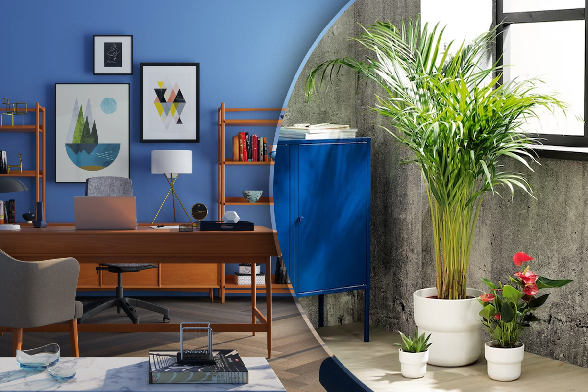 Obiectele din casa pe care le poti transforma in ghivece pentru flori