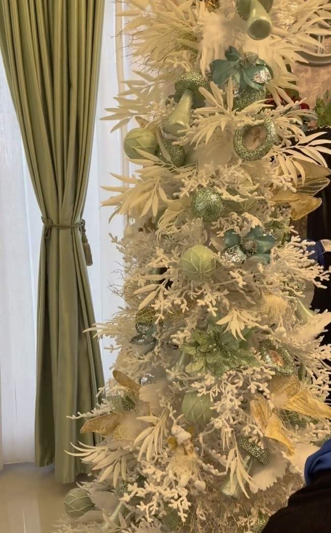 Obiectul din casa Gabrielei Cristea care a starnit reactii dure pe internet 3