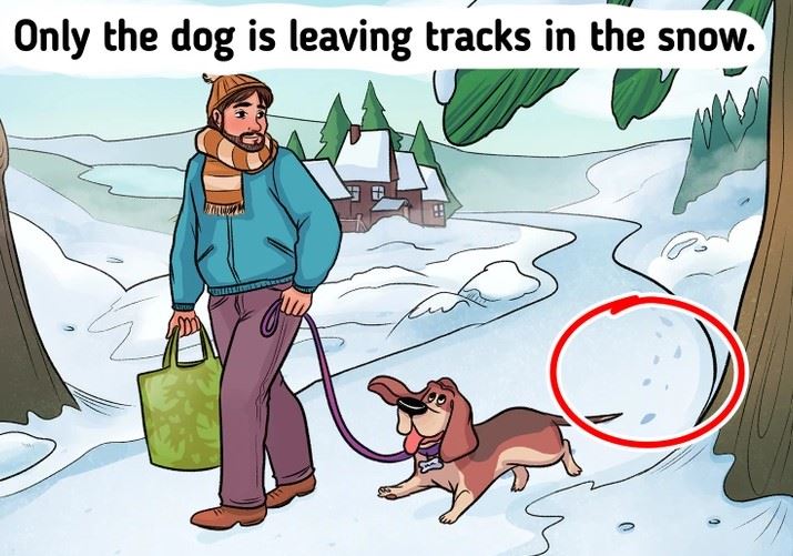 Test de inteligenta pentru cei cu IQ ridicat