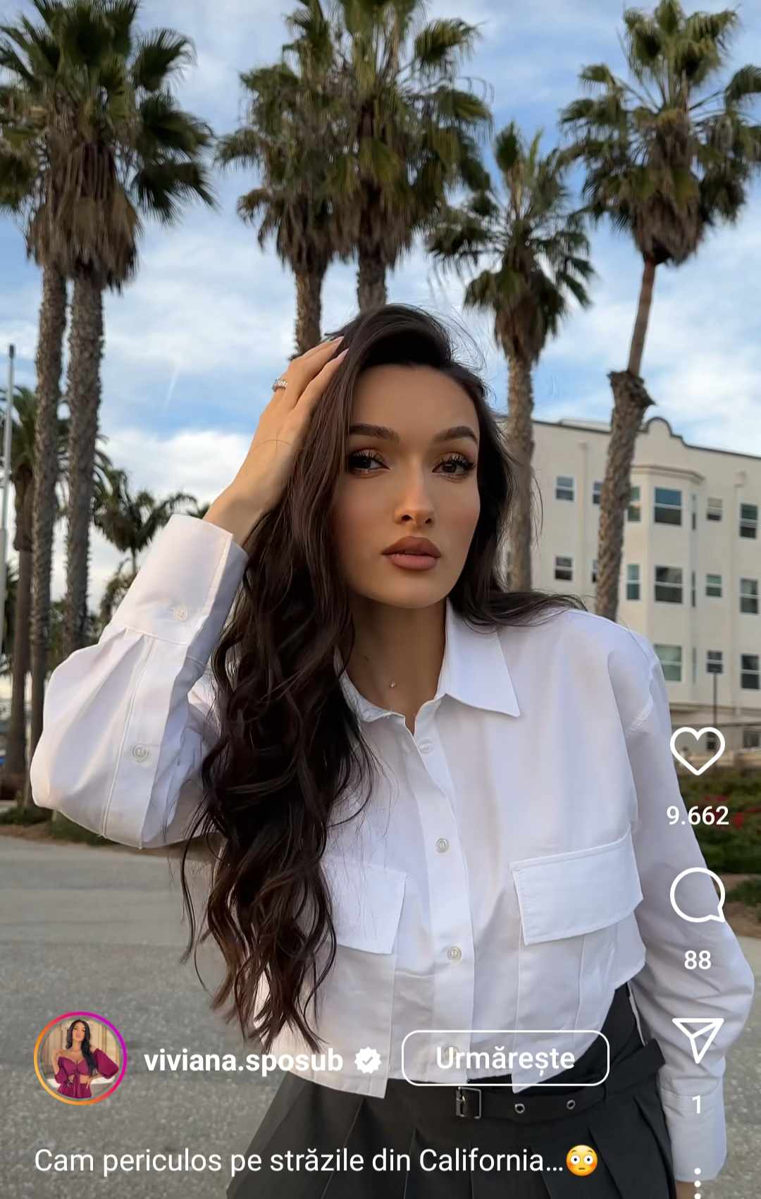 Ce planuri are Viviana Sposub de sărbători