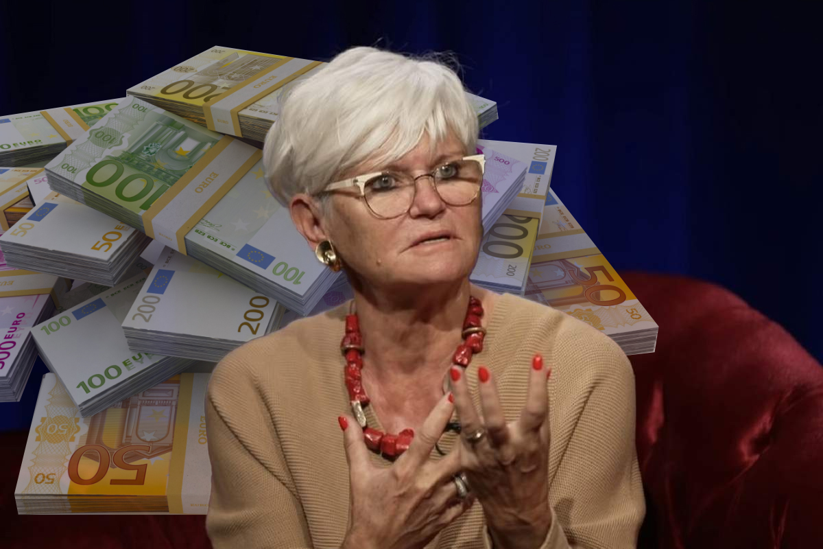 Cati bani are Monica Tatoiu, de fapt