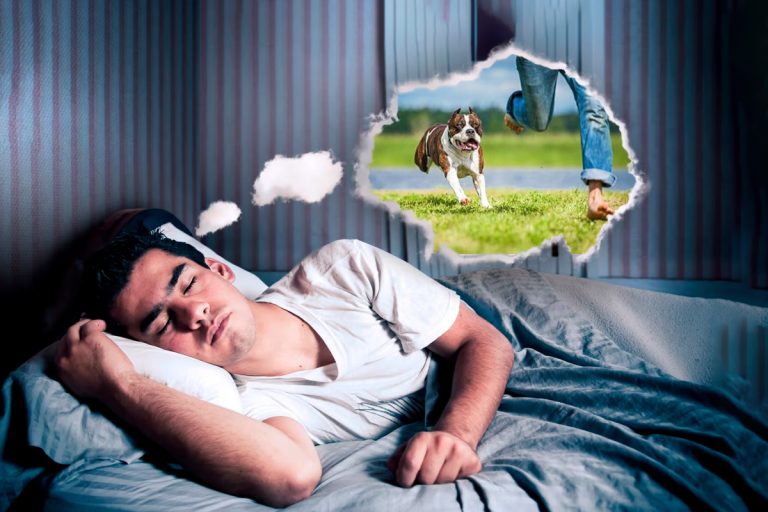 Ce înseamnă când visezi că te fugărește un animal. Ce ascunde acest vis, de fapt