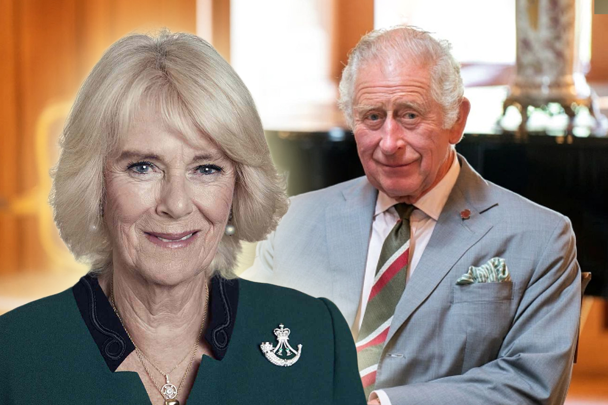 Ce talent ascuns are Regele Charles