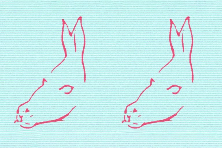 Ce vezi mai întâi în imagine? Testul care dezvăluie cel mai adorabil lucru despre tine