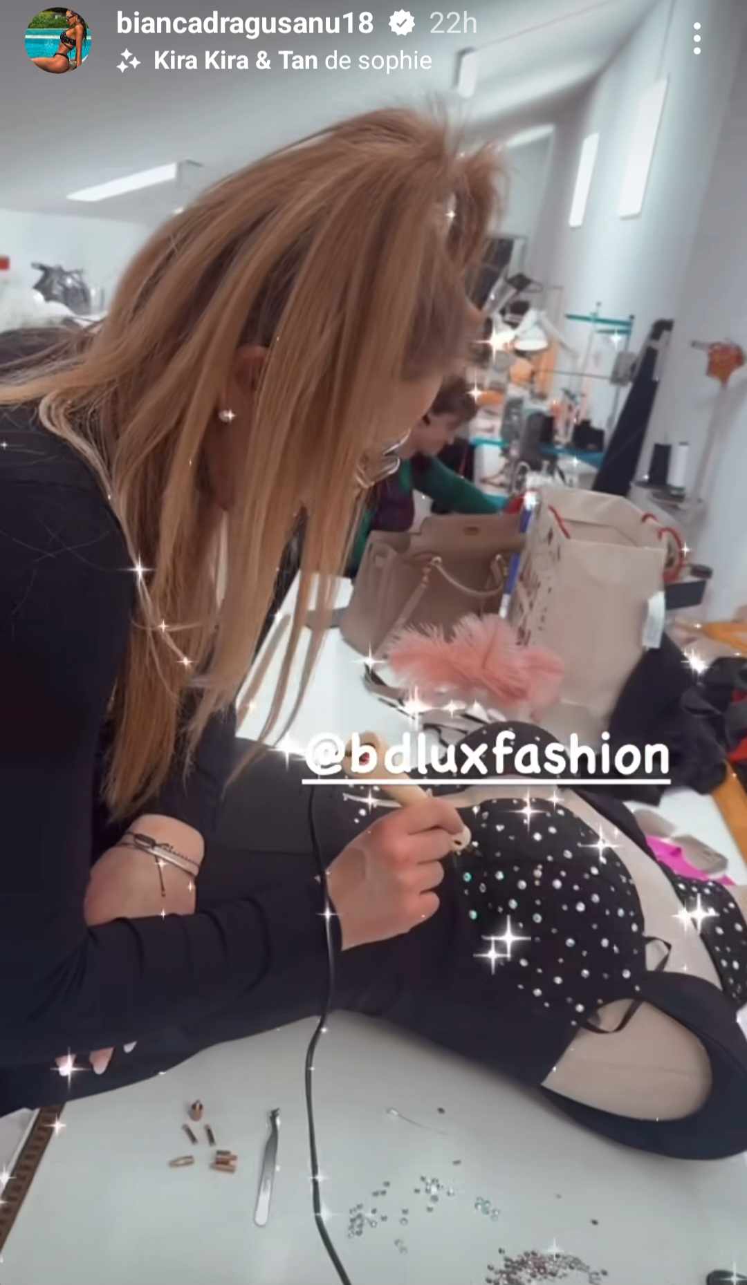 Cu ce se ocupa sora Biancai Dragusanu, de fapt 1