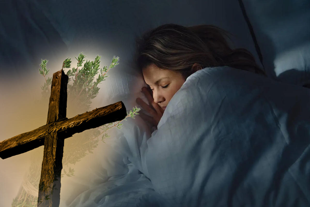 Planta pe care trebuie să o ții sub pernă de Bobotează. Alungă ghinionul și aduce norocul în viața ta