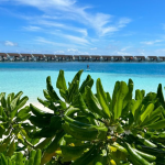 Smiley și Gina Pistol au plecat în vacanță. Primele imagini cu paradisul în care s-au cazat, e ceva de vis