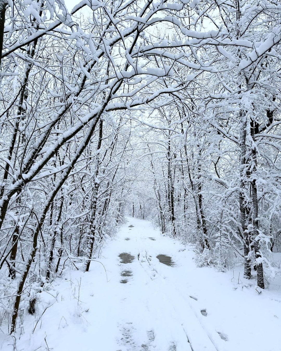 Smiley si Gina Pistol, imagine speciala 2