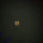 Andreea Balan, incident dupa vacanta cu Victor Cornea 12