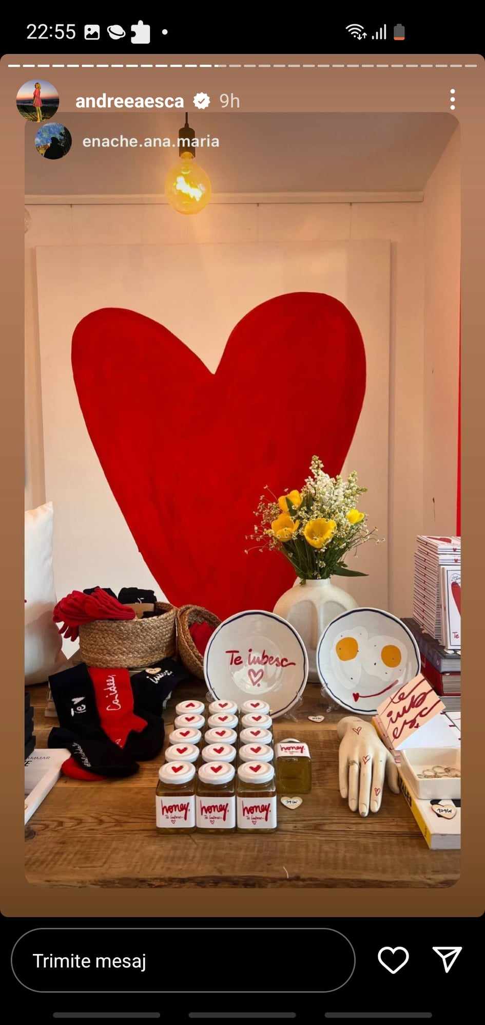 Andreea Esca si-a deschis o noua afacere 5