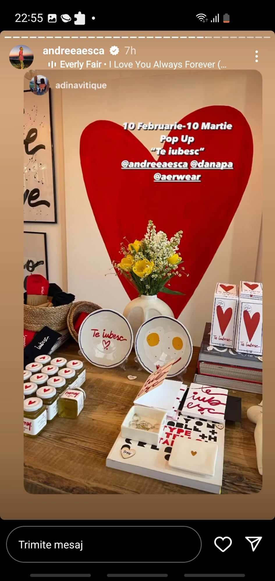 Andreea Esca si-a deschis o noua afacere 6