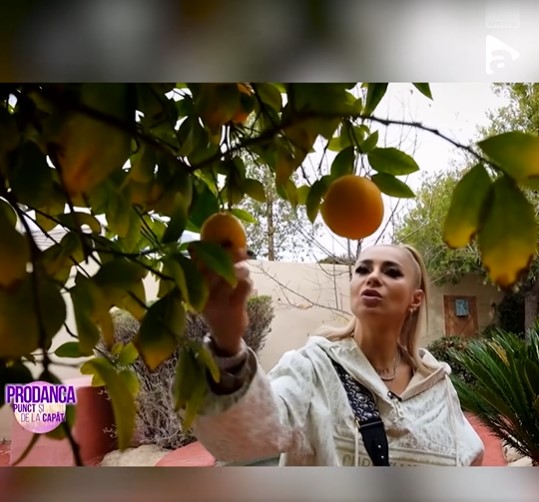 Cum arata casa Anamariei Prodan din Las Vegas 7