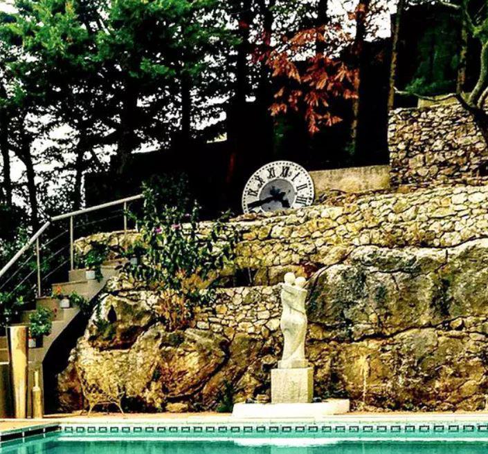 Cum arata casa de lux a Mihaelei Radulescu din Monaco 4