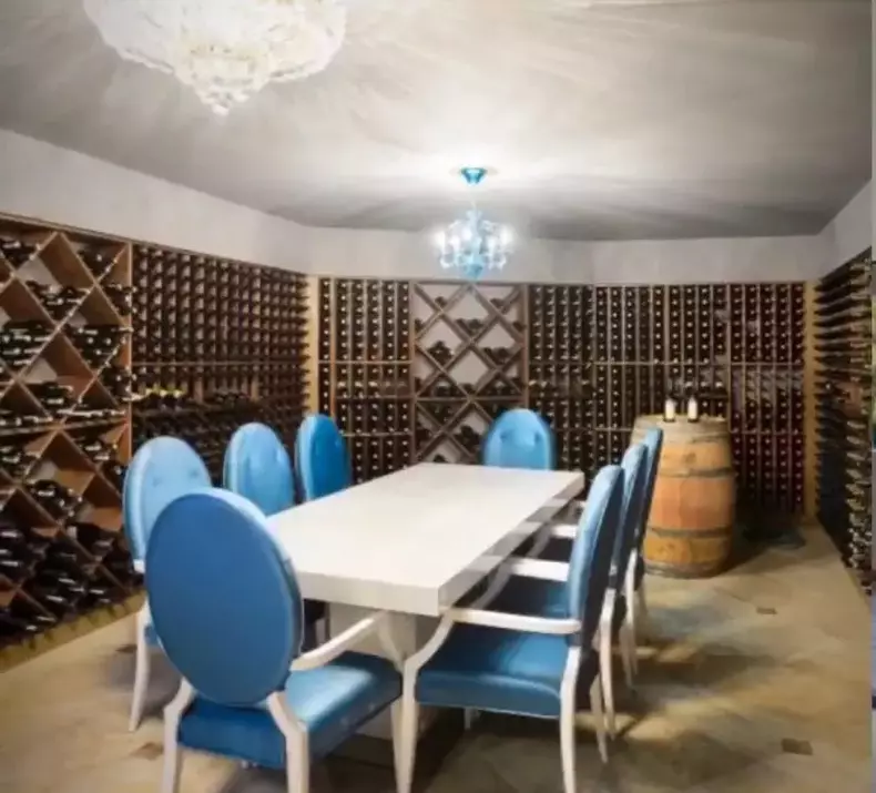 Cum arata casa in care locuiesc Monica Gabor si Mr. Pink in Los Angeles 1