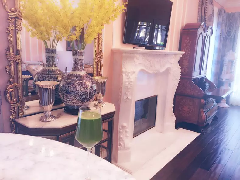 Cum arata casa in care locuiesc Monica Gabor si Mr. Pink in Los Angeles 8