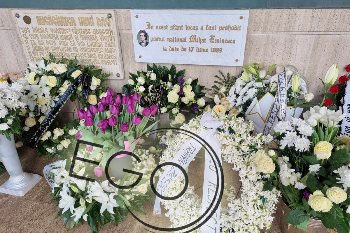 Mihai Mitoseru a ajuns la inmormantarea Mioarei Roman