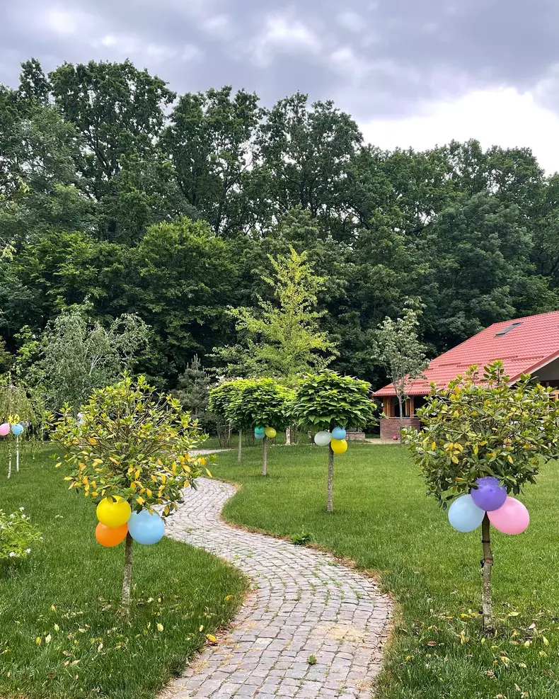 Unde se afla si cum arata casa in care Mirela Vaida locuieste cu sotul si copiii lor 11