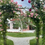 Unde se afla si cum arata casa in care Mirela Vaida locuieste cu sotul si copiii lor 9