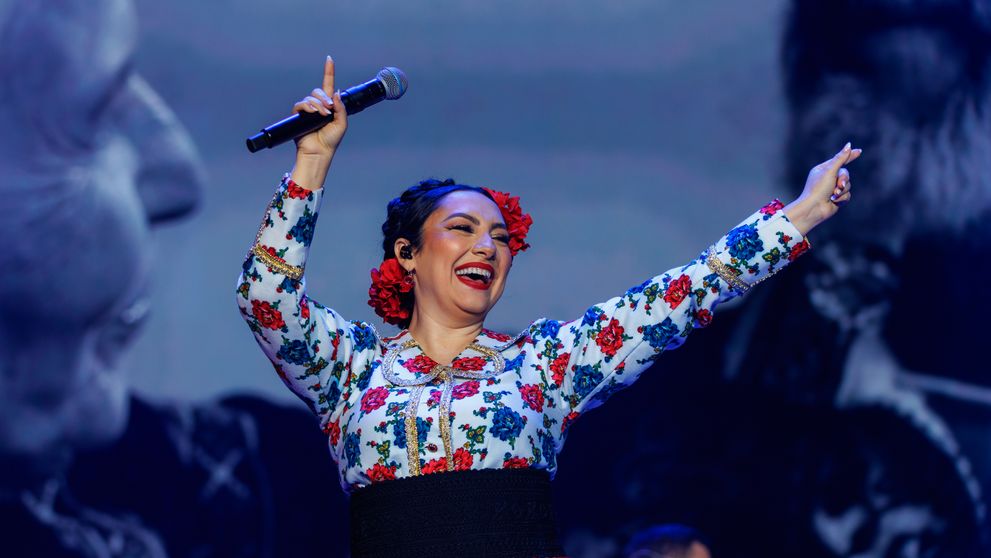 Andra, pazita ca un sef de stat la concert 7