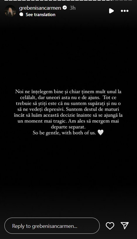 Carmen Grebenisan a divortat la doar 3 luni de la cununia civila 6