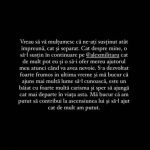 Carmen Grebenisan a divortat la doar 3 luni de la cununia civila 7