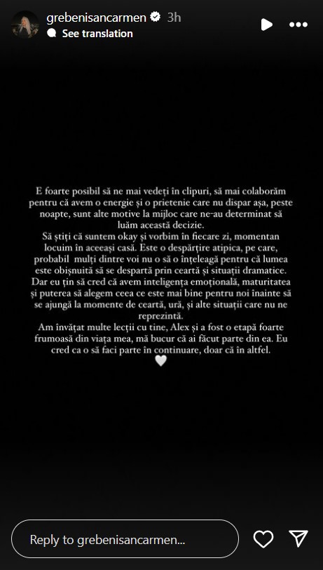 Carmen Grebenisan a divortat la doar 3 luni de la cununia civila 8