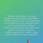 Ce a facut Marius Elisei, dupa ce a fost acuzat ca nu a mers la inmormantarea Mioarei Roman