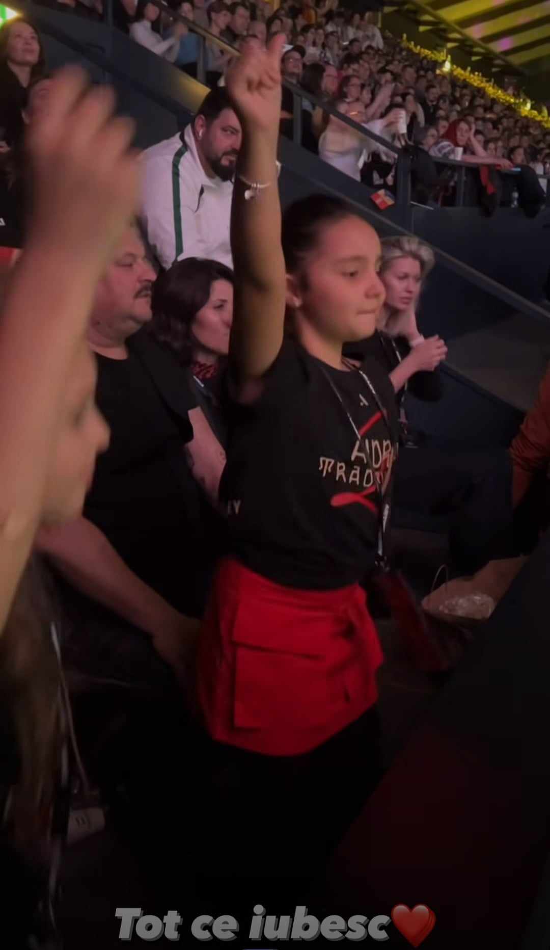 Ce facea Eva Maruta, in timpul concertului Andrei de pe Arena Wembley din Londra 12