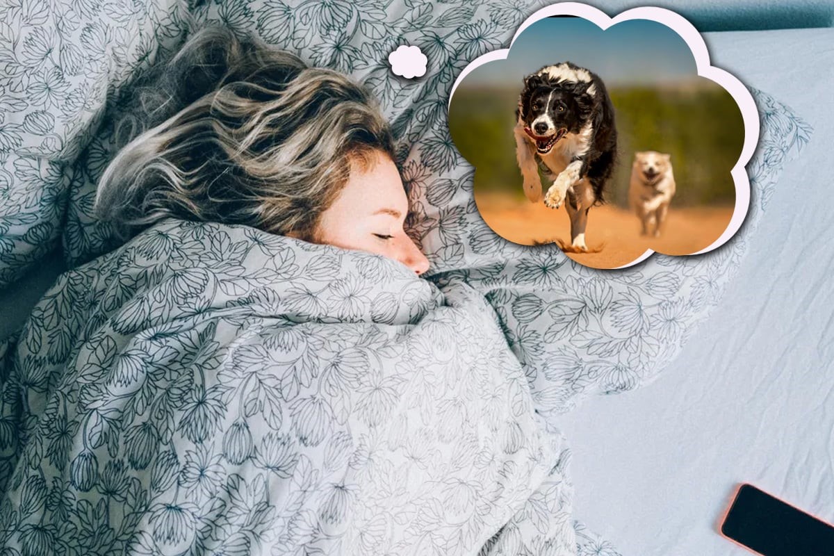 Ce înseamnă când visezi că te aleargă câinii