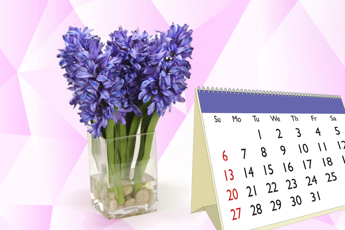 Ce să adaugi în apa zambilelor pentru a rezista mai mult în vază