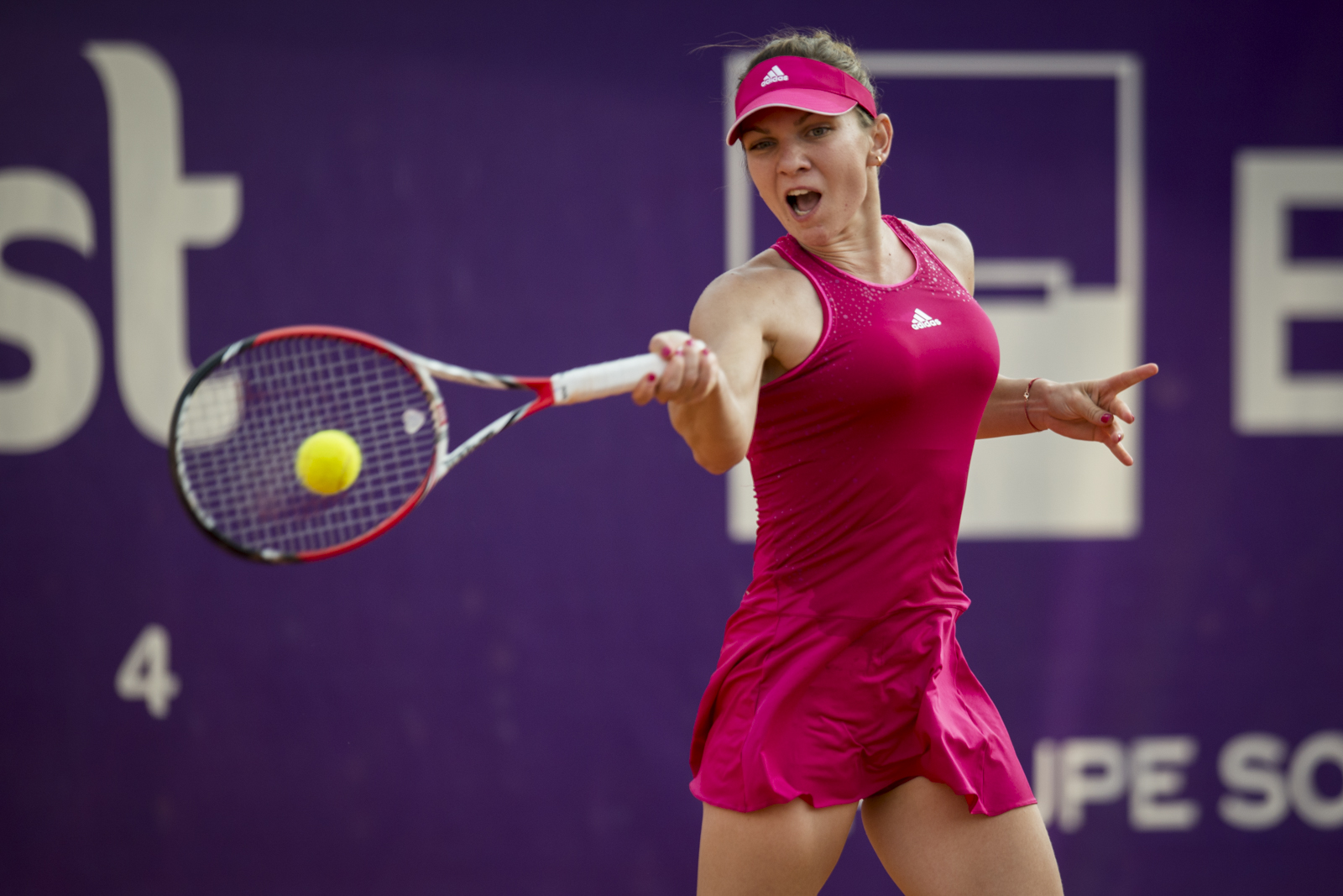 Cine a fost prima iubire a Simonei Halep 6