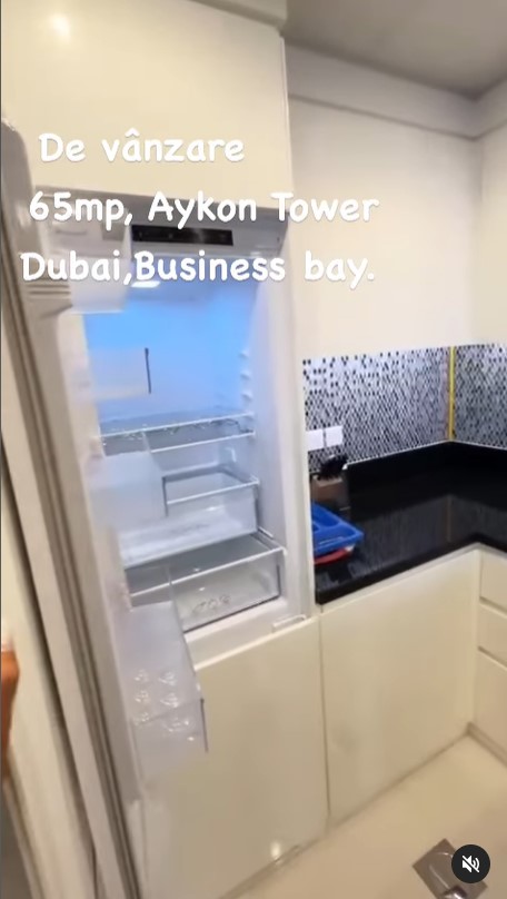 Cum arata apartamentul Biancai Dragusanu din Dubai 2