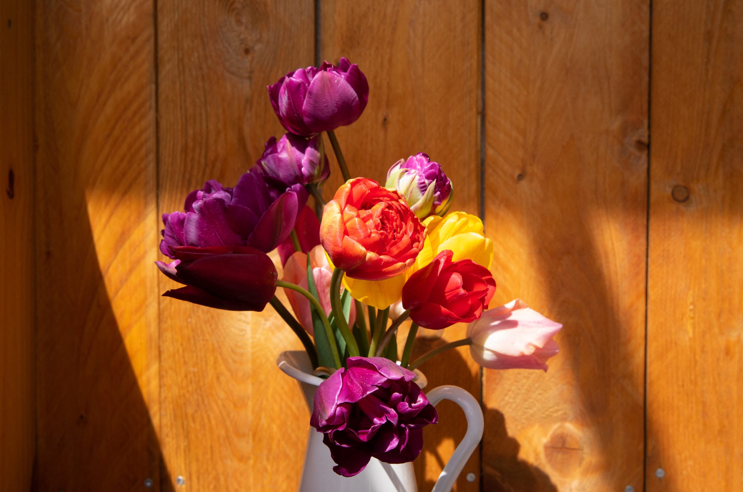 Cum pregătești lalelele, înainte de a le pune în vază