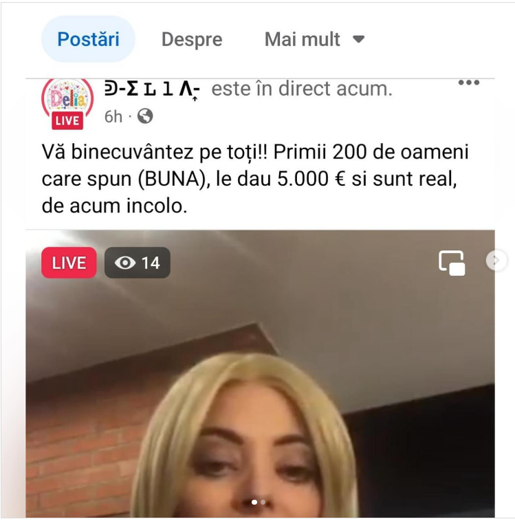 Delia Matache, victima unei escrocherii online