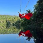 Iubita lui Pescobar este superba 24